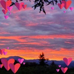 Meet your Posher, Vicki